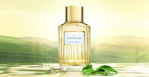 Luxury_Fragrance_Collection_Product_on_Background_Tender_Light_Global_Print_and_Online_Use_Expiry_Oct_2022
